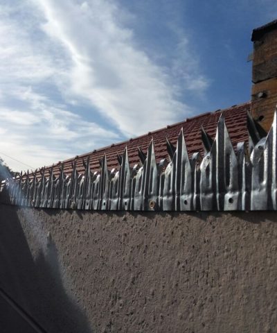 Wall Spikes